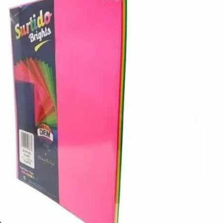 PAQ DE HOJAS DE COLORES 100PZS