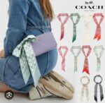 BANDA COACH