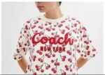 BLUSA DE MARCAS OVERZISE