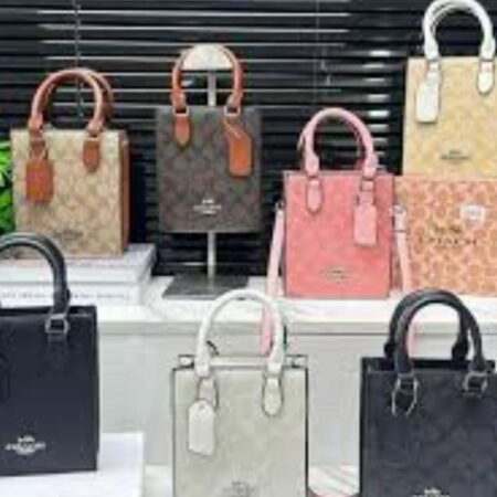 BOLSO DE MANO COACH