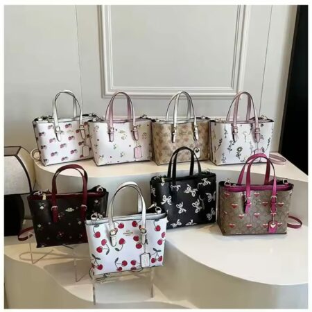 BOLSO COACH /DICEÑOS