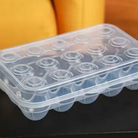 HUEVERA PLASTICA