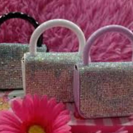 MONEDERO CUTE/ BRILLOS