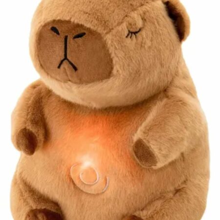 CAPIBARA LUZ Y SONIDO