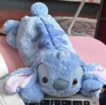 LAPICERA STICH