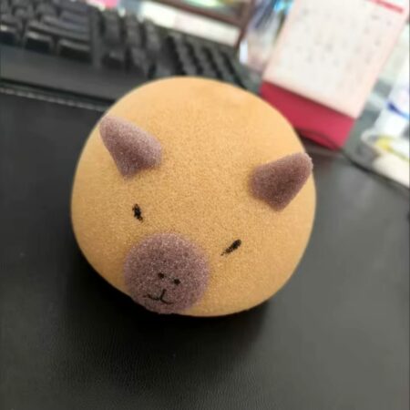 ESPONJA CAPIBARA