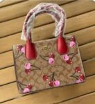 BOLSO DE DAMA COACH