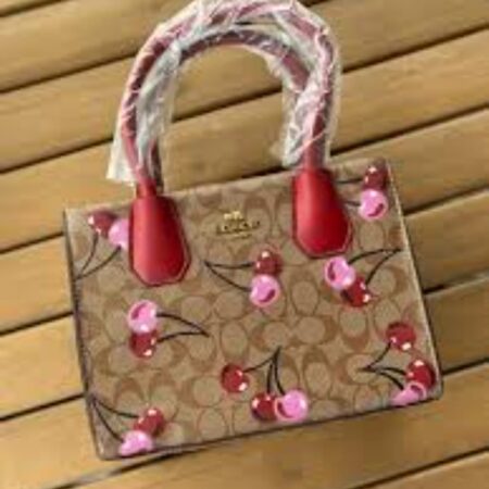 BOLSO DE DAMA COACH