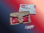 carteras1