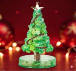 591496648_1242839344328243_6720935599699183698_n