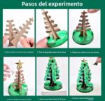 591496648_1242839344328243_6720935599699183698_n