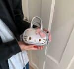 601498054_1258190742793103_1142065309810686820_n