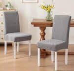 600408378_1258185039460340_6576814829214457205_n