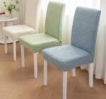 600408378_1258185039460340_6576814829214457205_n