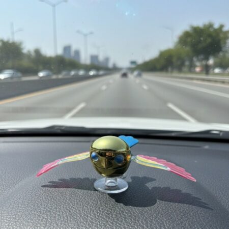 PÁJARO PARA CARRO/MOTO