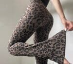 614367782_1272397984705712_3677673612845819903_n