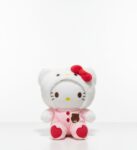 WhatsApp Image 2026-01-11 at 6.14.24 PM