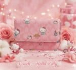 633992701_1300998815178962_8392935395563131363_n