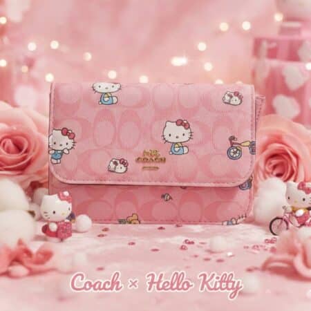 CROSS COACH PERSONAJES