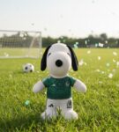 WhatsApp Image 2026-02-25 at 5.05.30 PM (1)