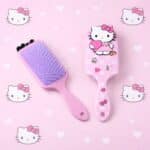 660870736_1333766675235509_5893226731777036152_n