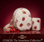 WhatsApp Image 2026-03-26 at 9.27.40 PM (2)