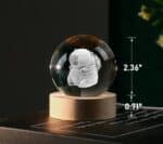 666740870_1339280188017491_3450119655894554972_n