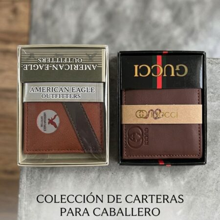 CARTERA PARA CABALLERO