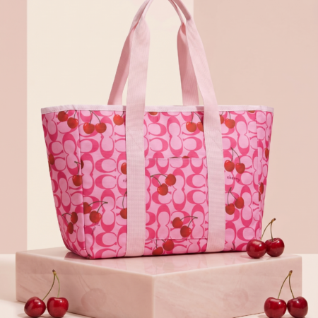 BOLSA EXPANDIBLE