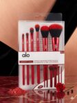 SET DE BROCHAS ALO