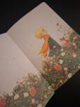 801641719_4696940707208651_382080775451845824_n